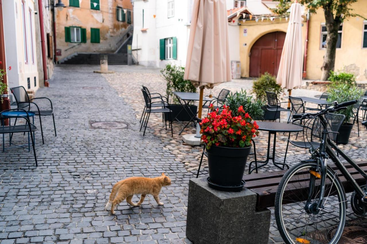 Charming Studio Ideal For Getaways Or Workations In Sibiu'S Medieval City Center Luaran gambar